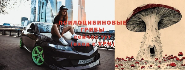 стаф Лихославль